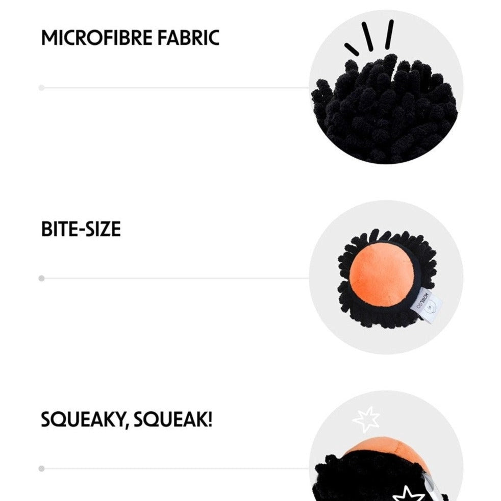 SEA URCHIN