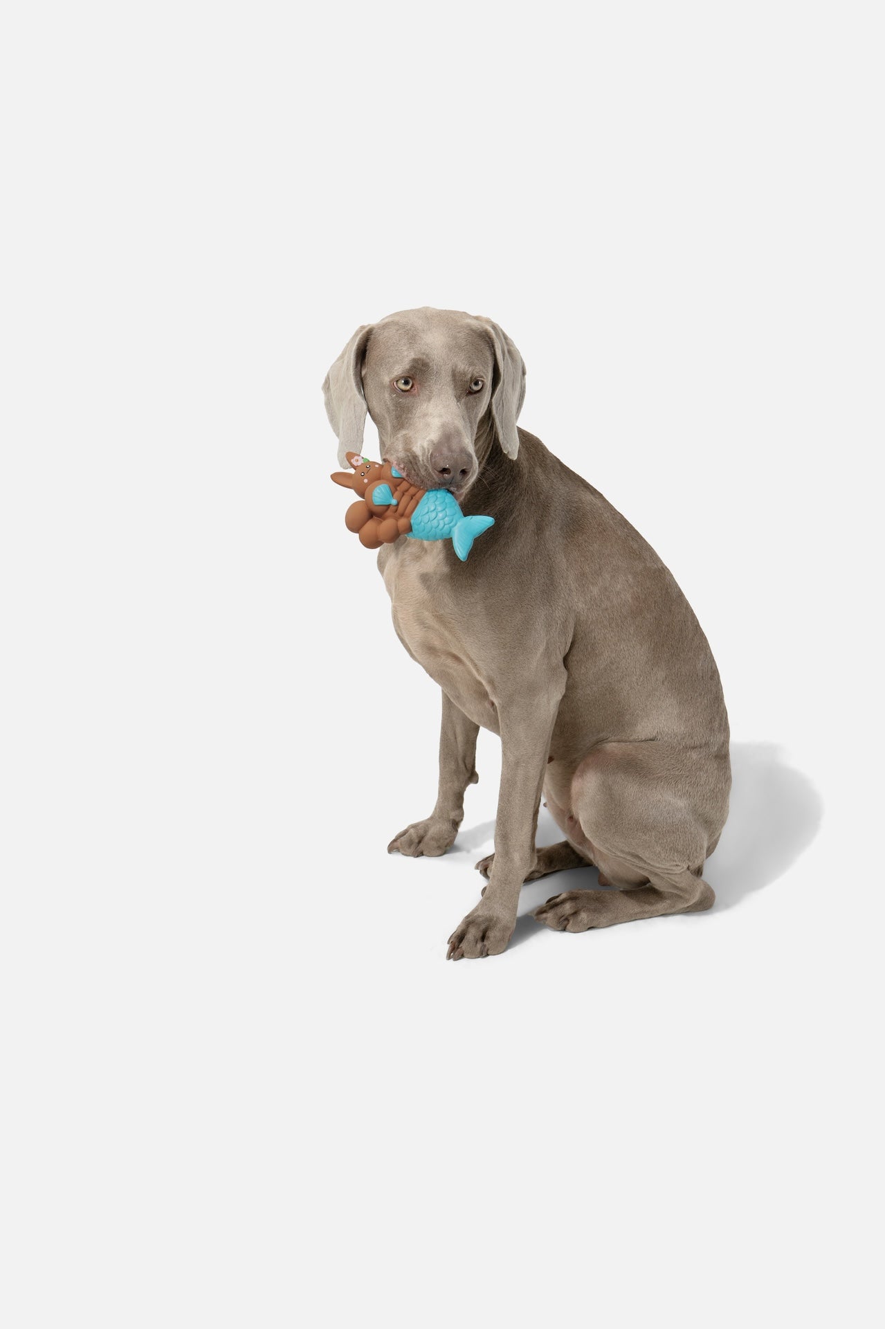 Pupsooh - MERMAID BUNNY