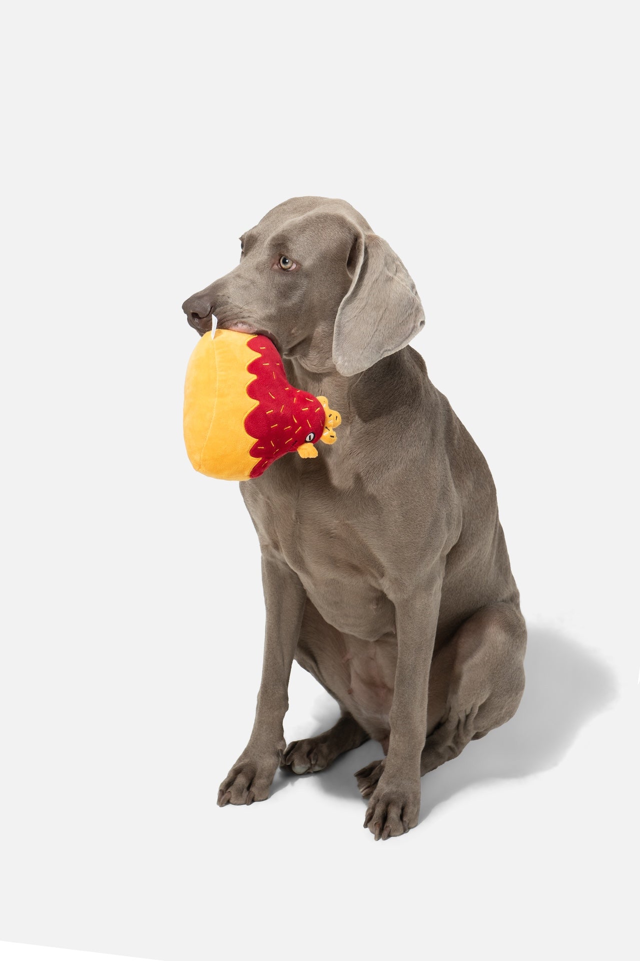 Pupsooh - MADAME CLUCK