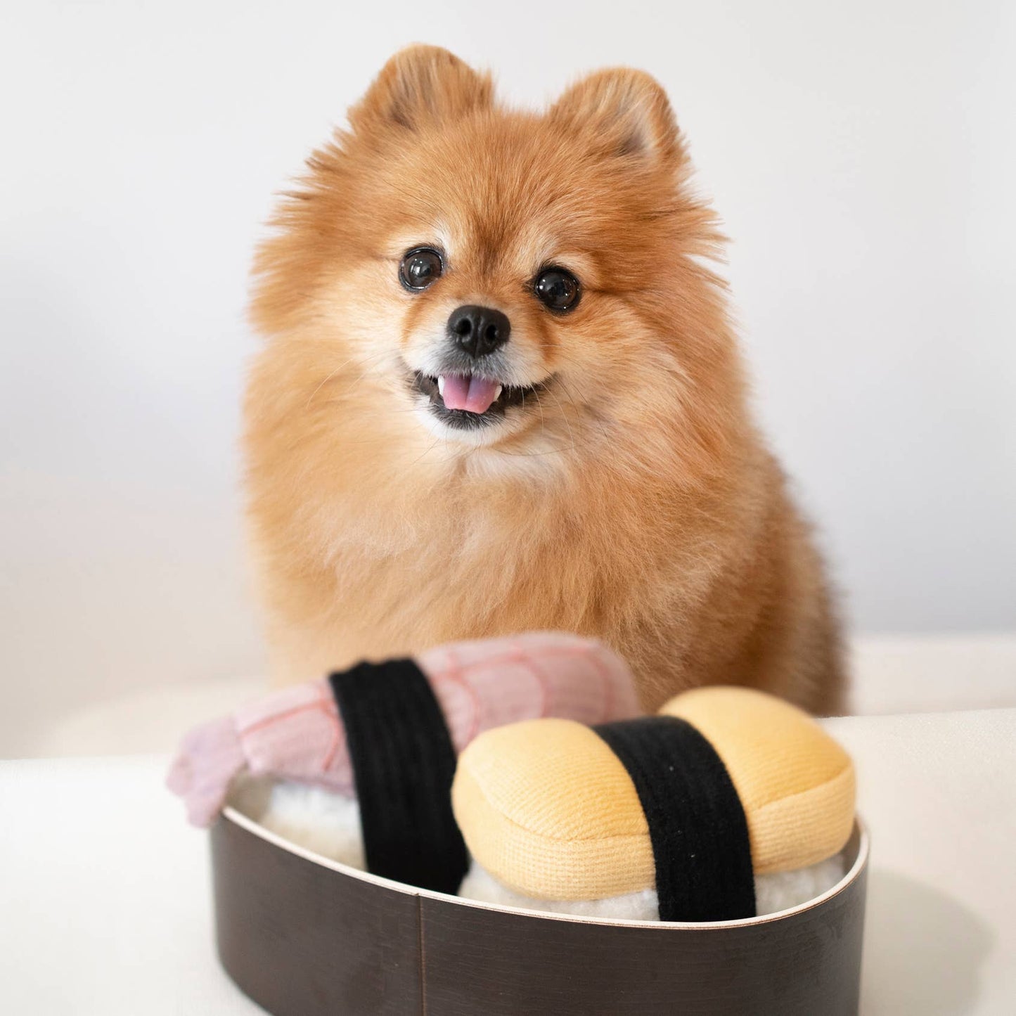 SUSHI | Set of 2