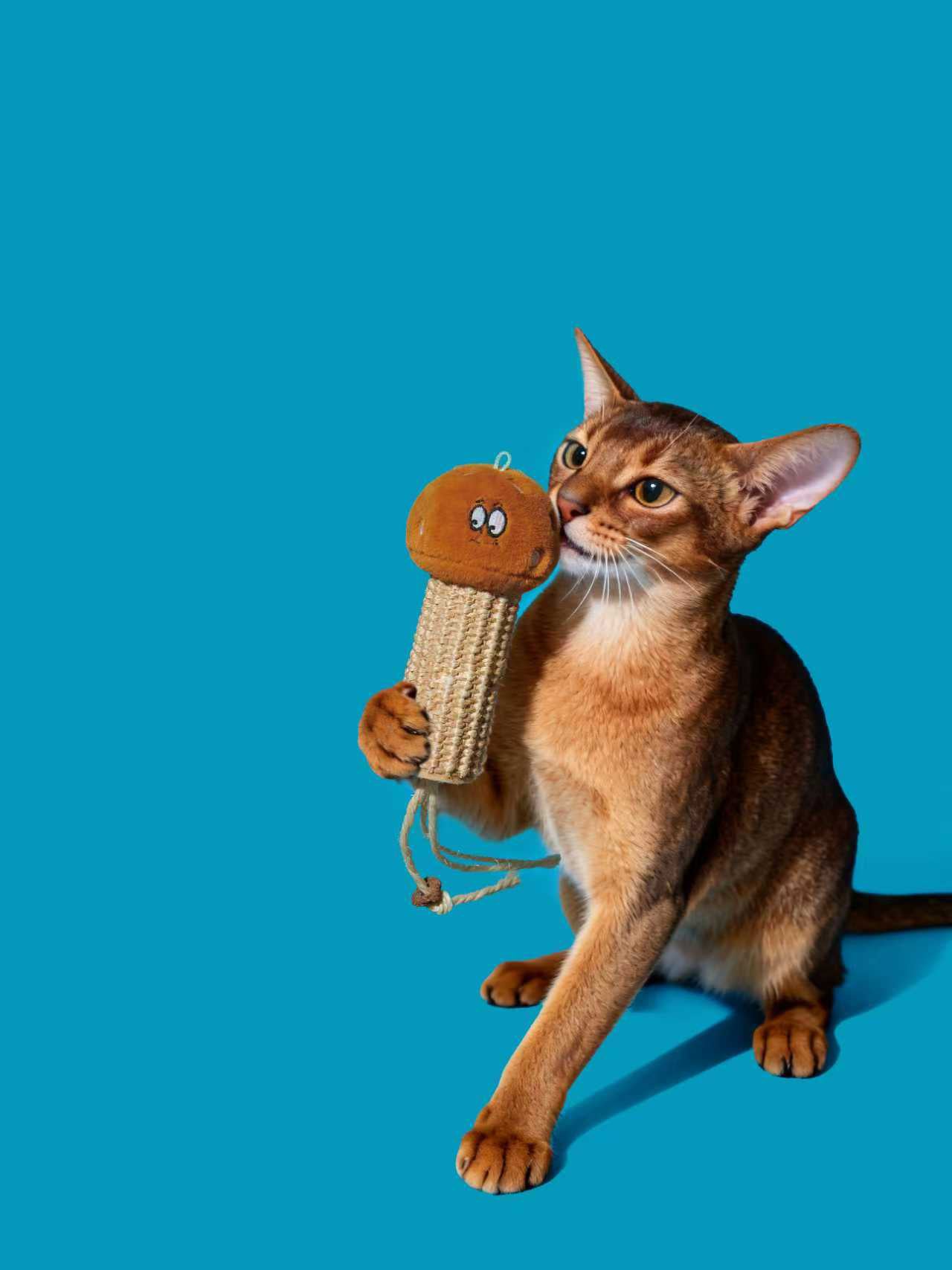 Pupsooh - SHROOM CAT TEASER