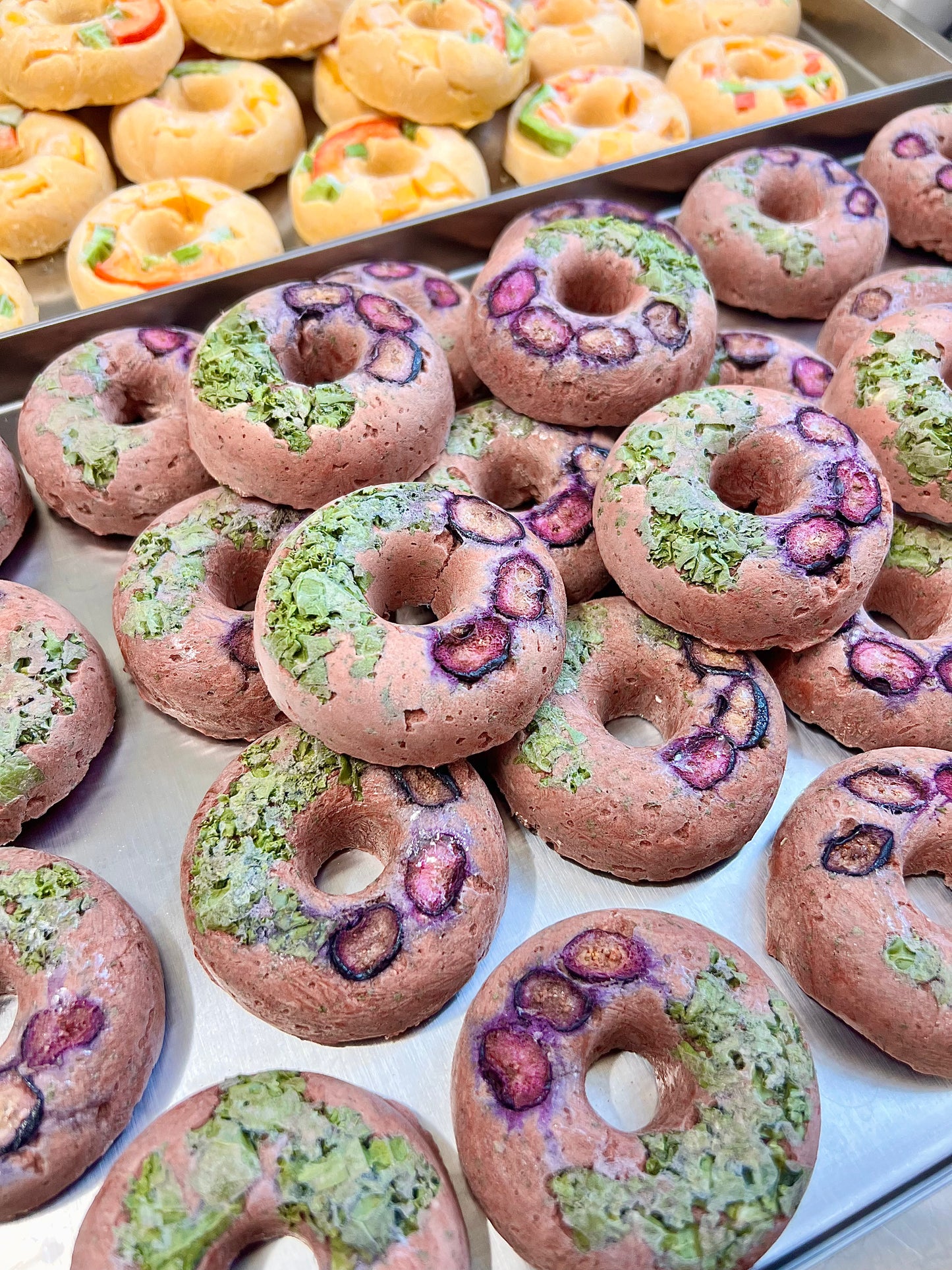 DOGGO DONUTS | Berry Yogurt Kangaroo