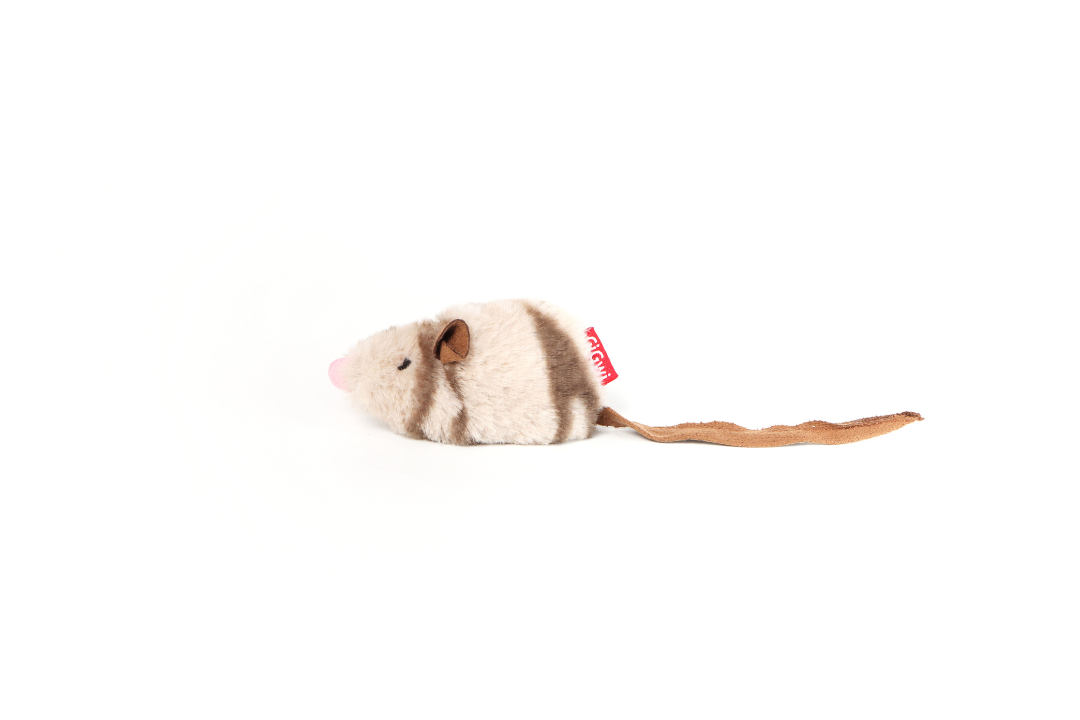 MELODY CHASER MOUSE