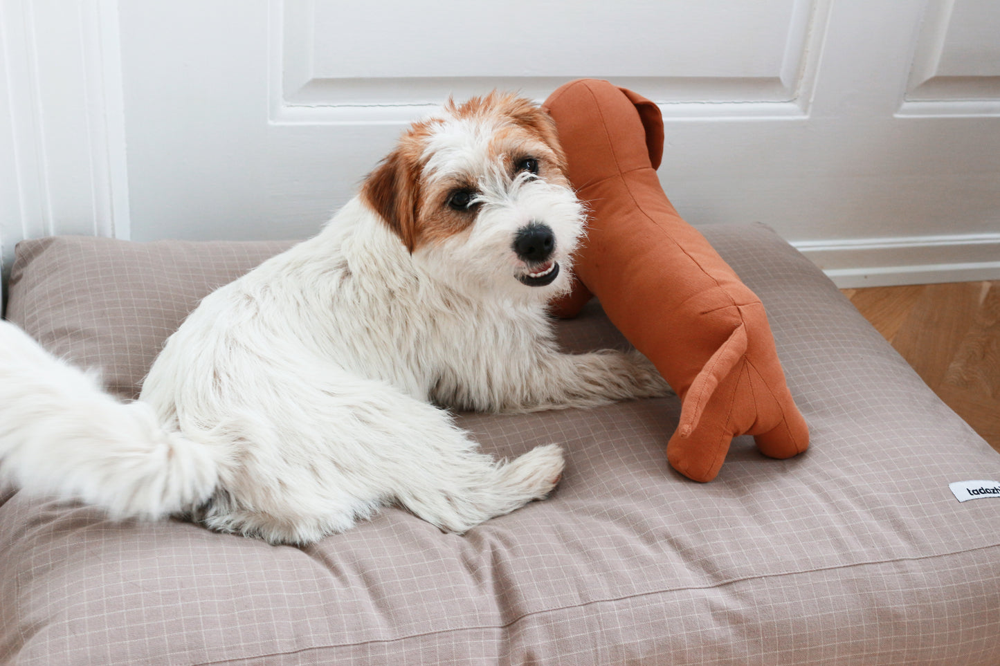 TOY DOG