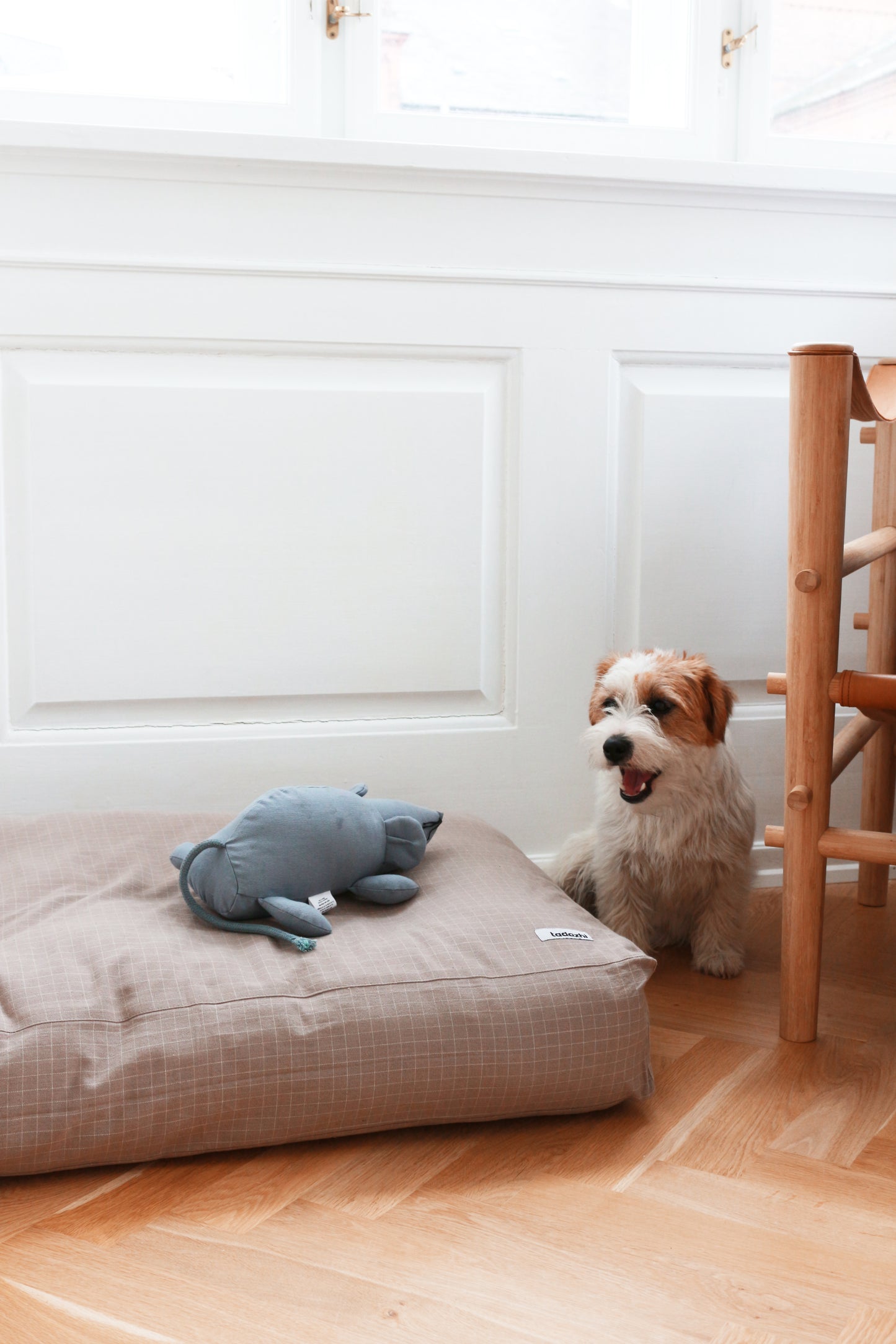 TOY MOUSE