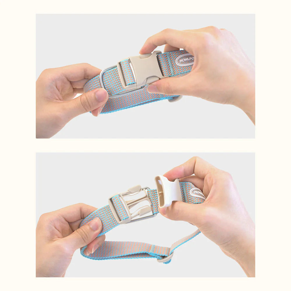 LARGE-CLUB COLLAR | Orange
