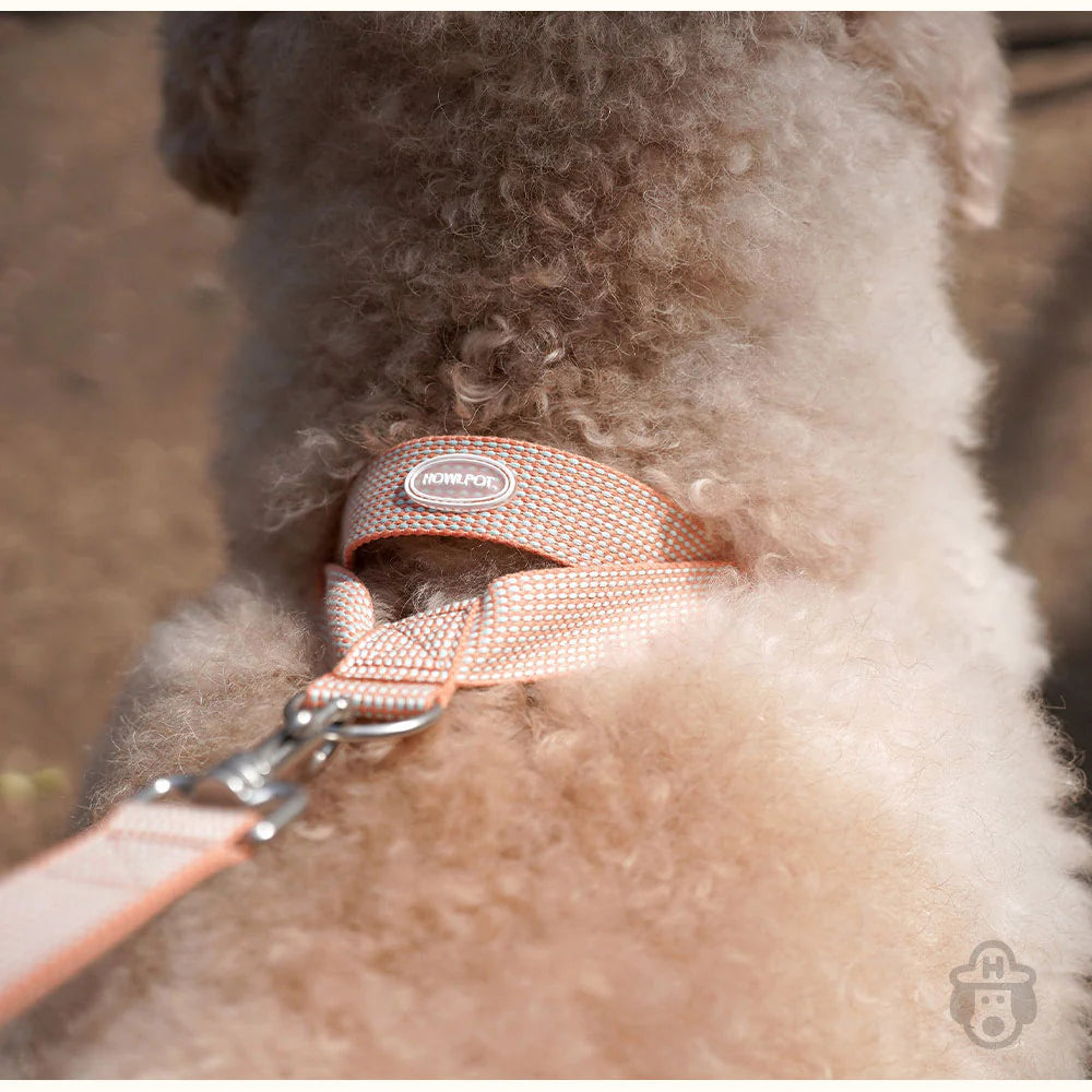 LARGE-CLUB HARNESS | Orange