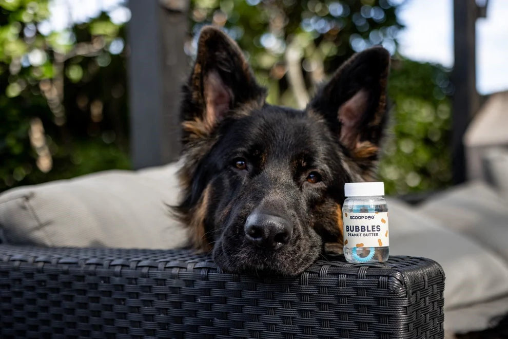 Scoop Dog - PEANUT BUTTER | Dog Bubbles