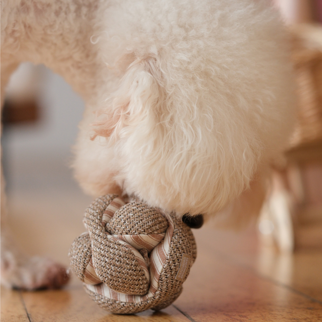 Lambwolf Collective - MINI MONTI