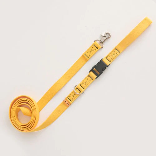 Bite Me - CANDY CRAYON LEASH