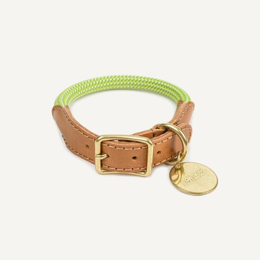 WE ARE TIGHT COLLAR | Cream Lime