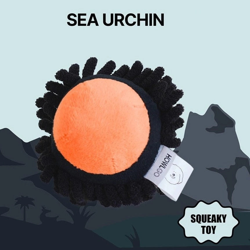 SEA URCHIN