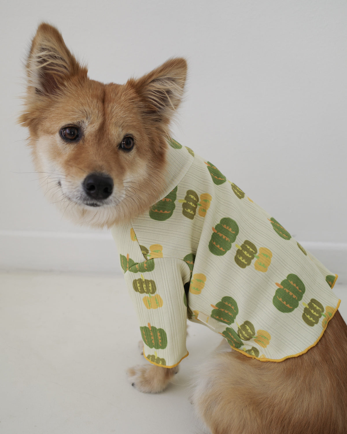 PUMPKIN LETTUCE TEE