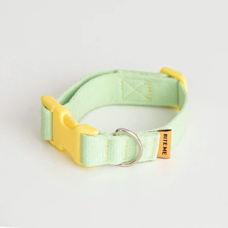 Bite Me - CANDY CRAYON COLLAR
