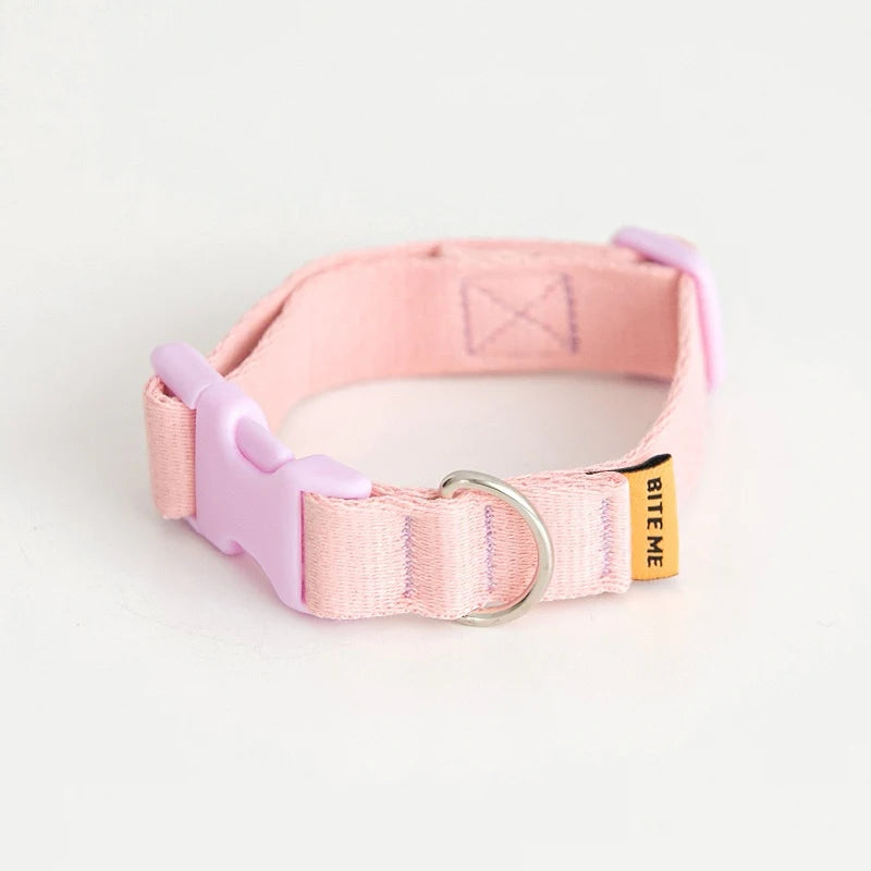 Bite Me - CANDY CRAYON COLLAR