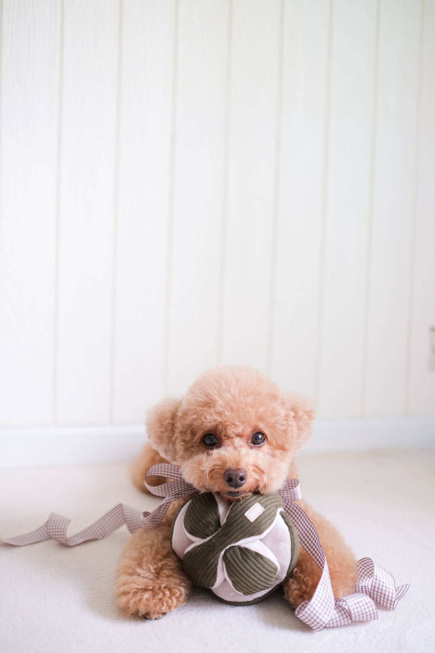 Lambwolf Collective - MONTI