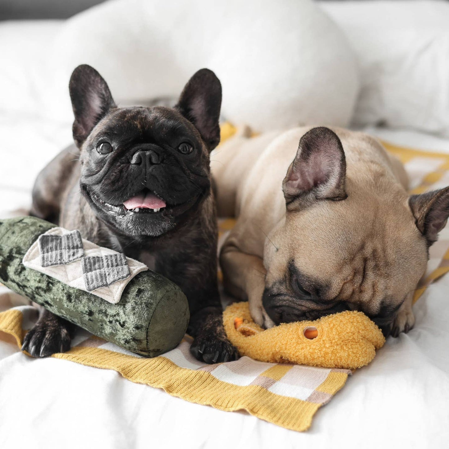 Lambwolf Collective - MERLOT