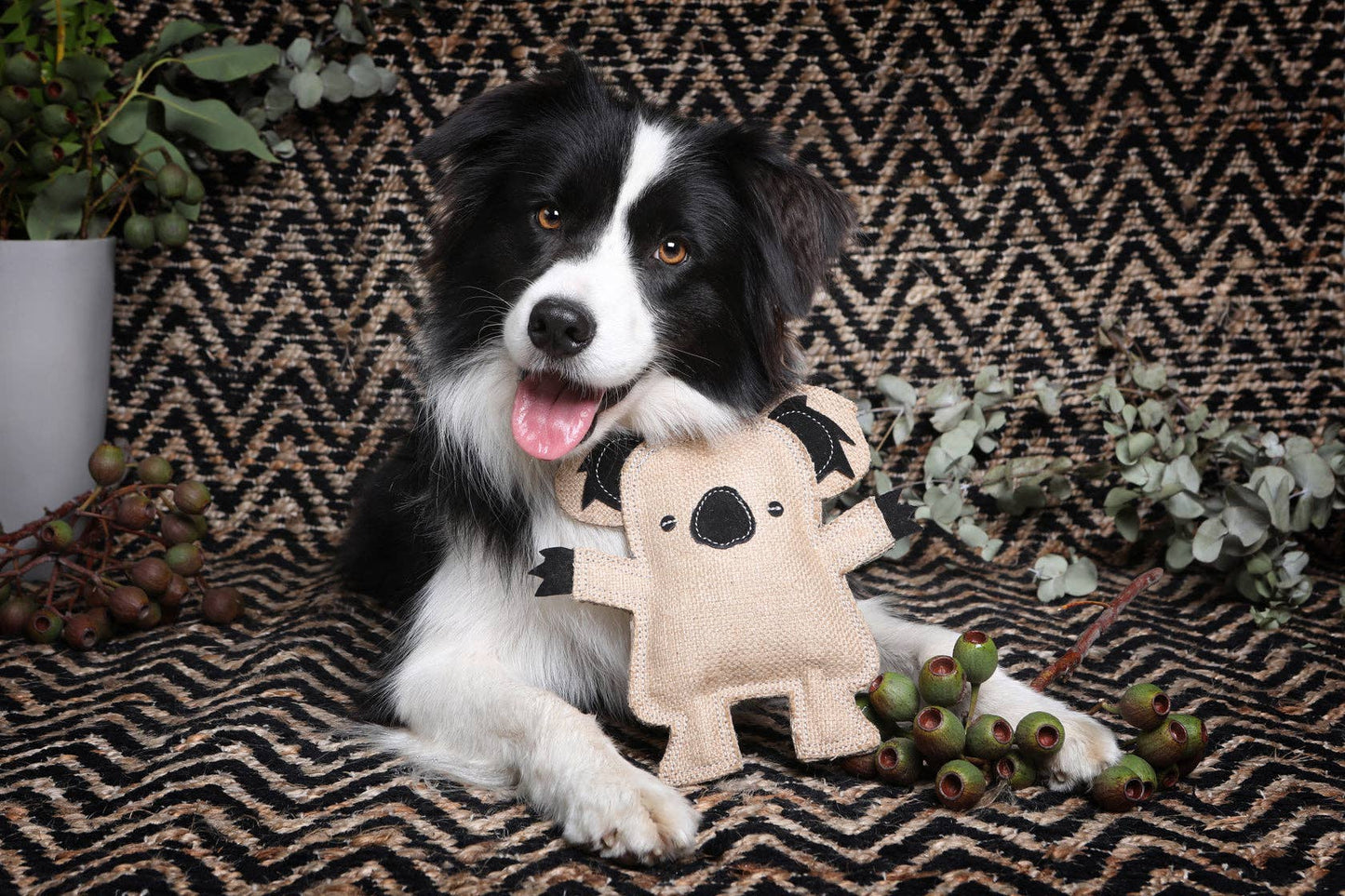 JUTE ANIMAL DOG TOY | Koala
