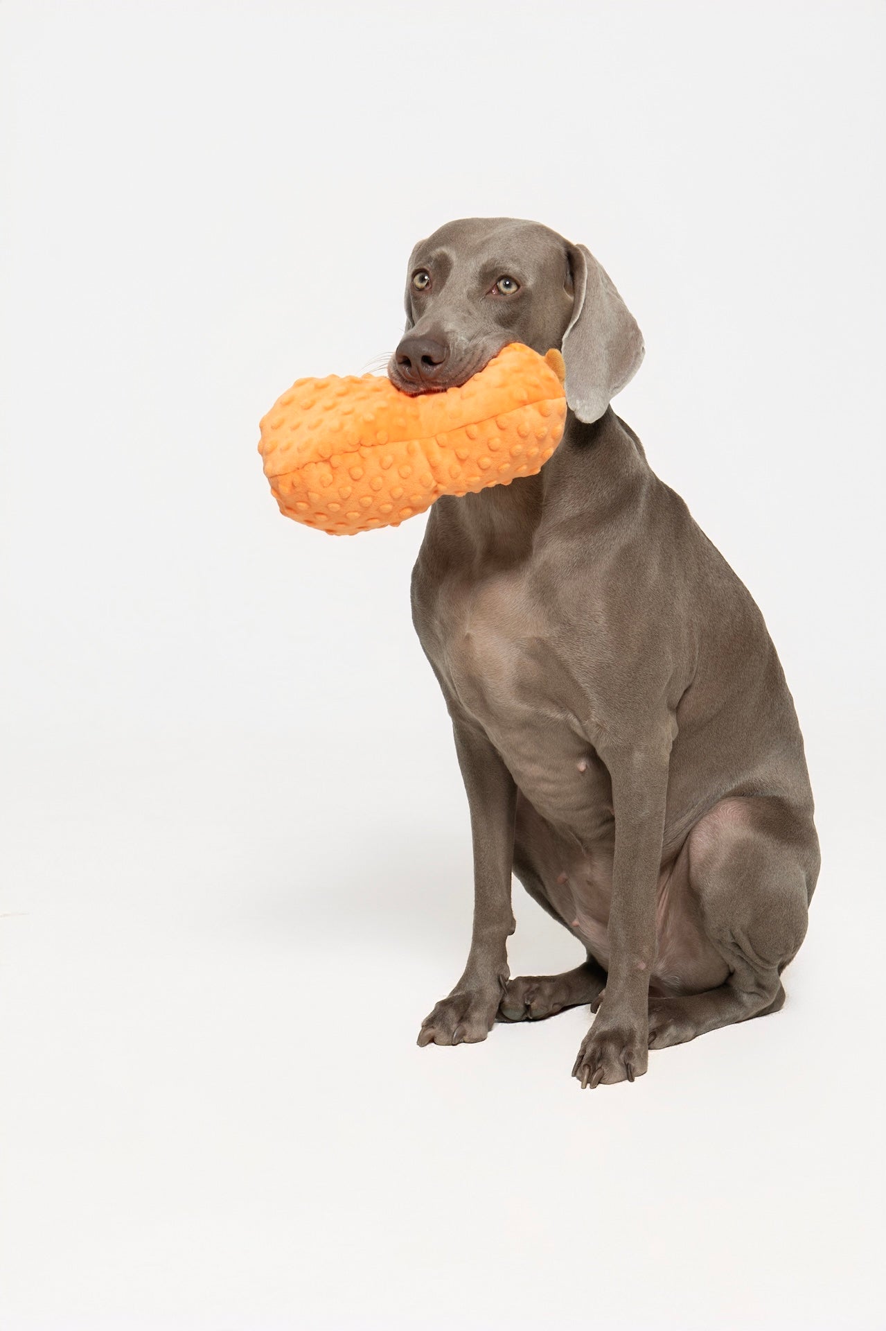 Pupsooh - TWO PEANUTS IN A POD