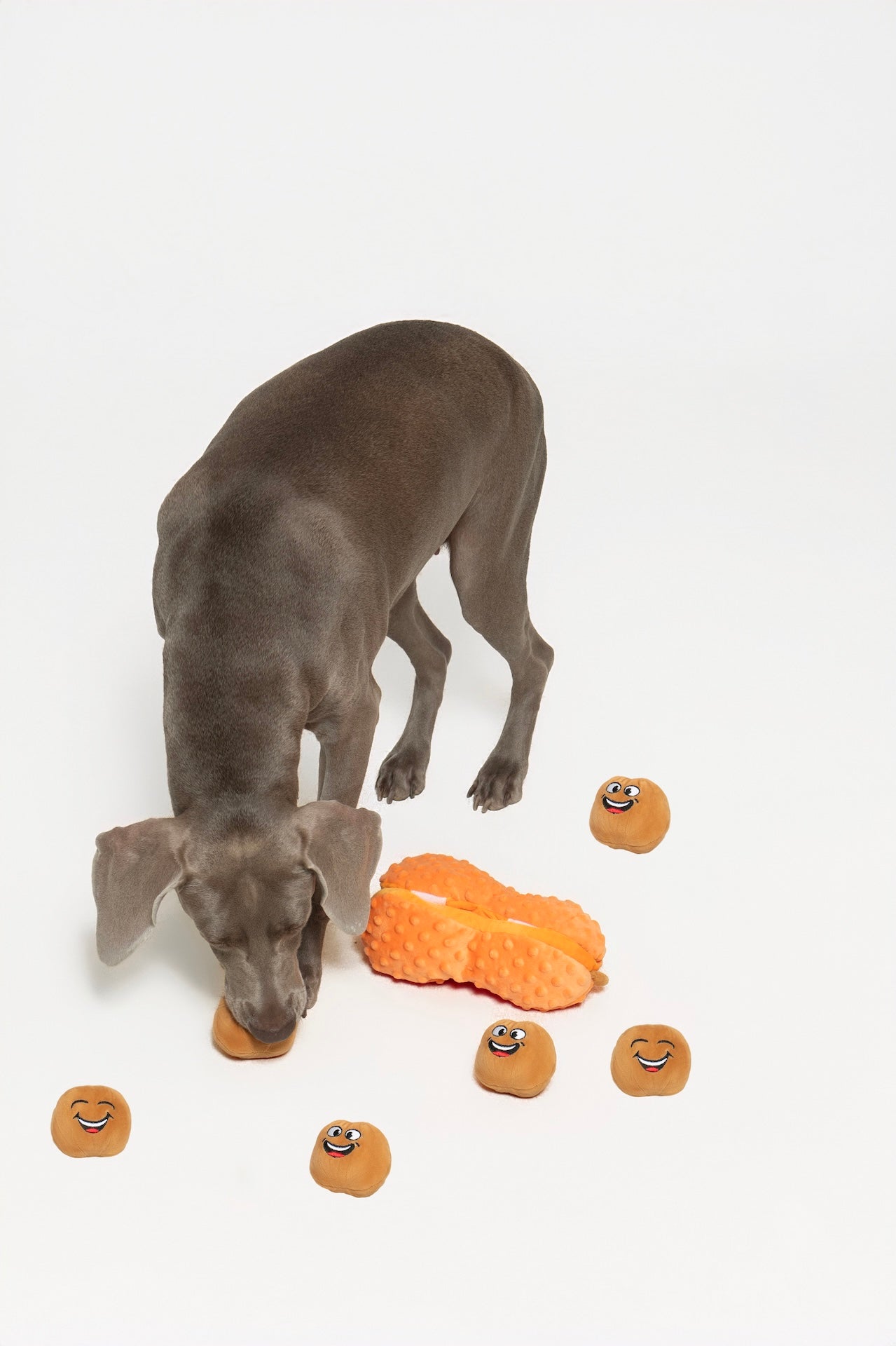 Pupsooh - TWO PEANUTS IN A POD