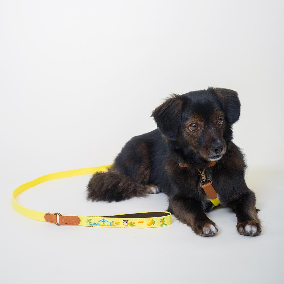ADVENTURE LEASH | Vacance