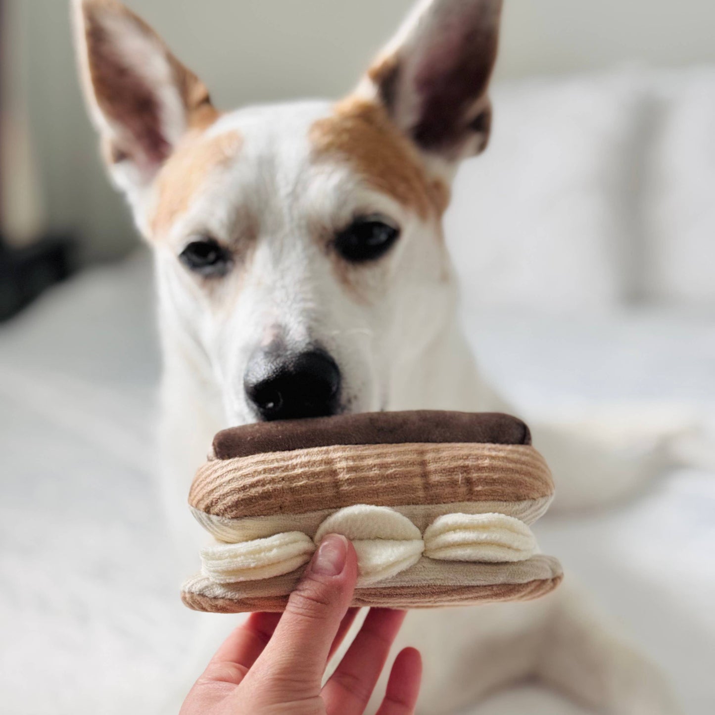 Lambwolf Collective - ECLAIR