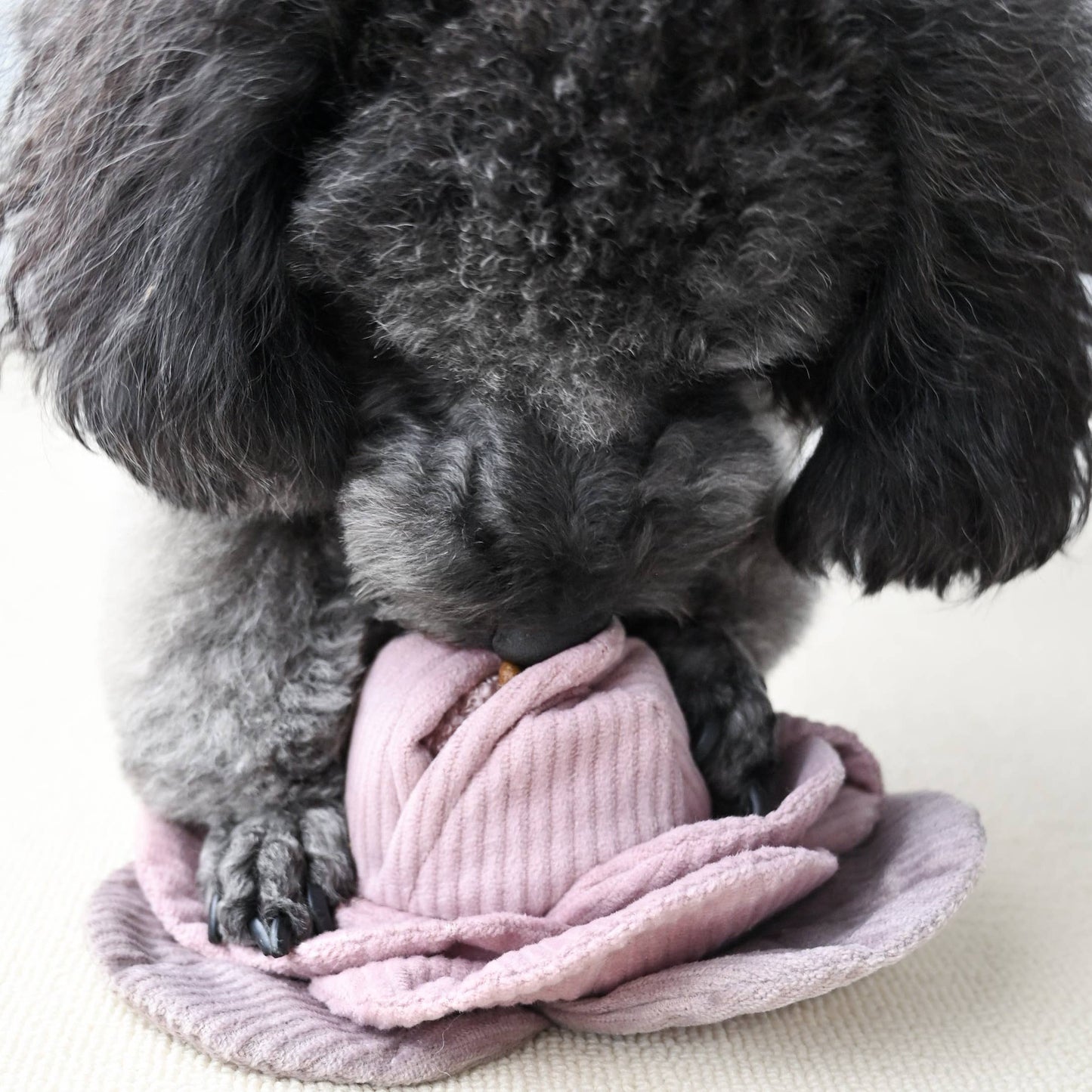 Lambwolf Collective - CABBAGE POP