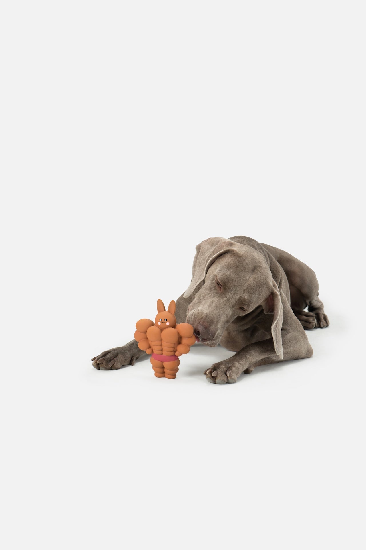 Pupsooh - BUFF BUNNY