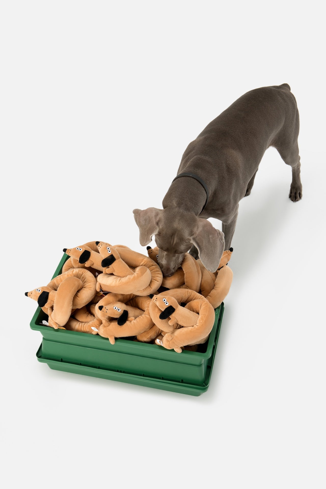 Pupsooh - LE SAUSAGE PUP