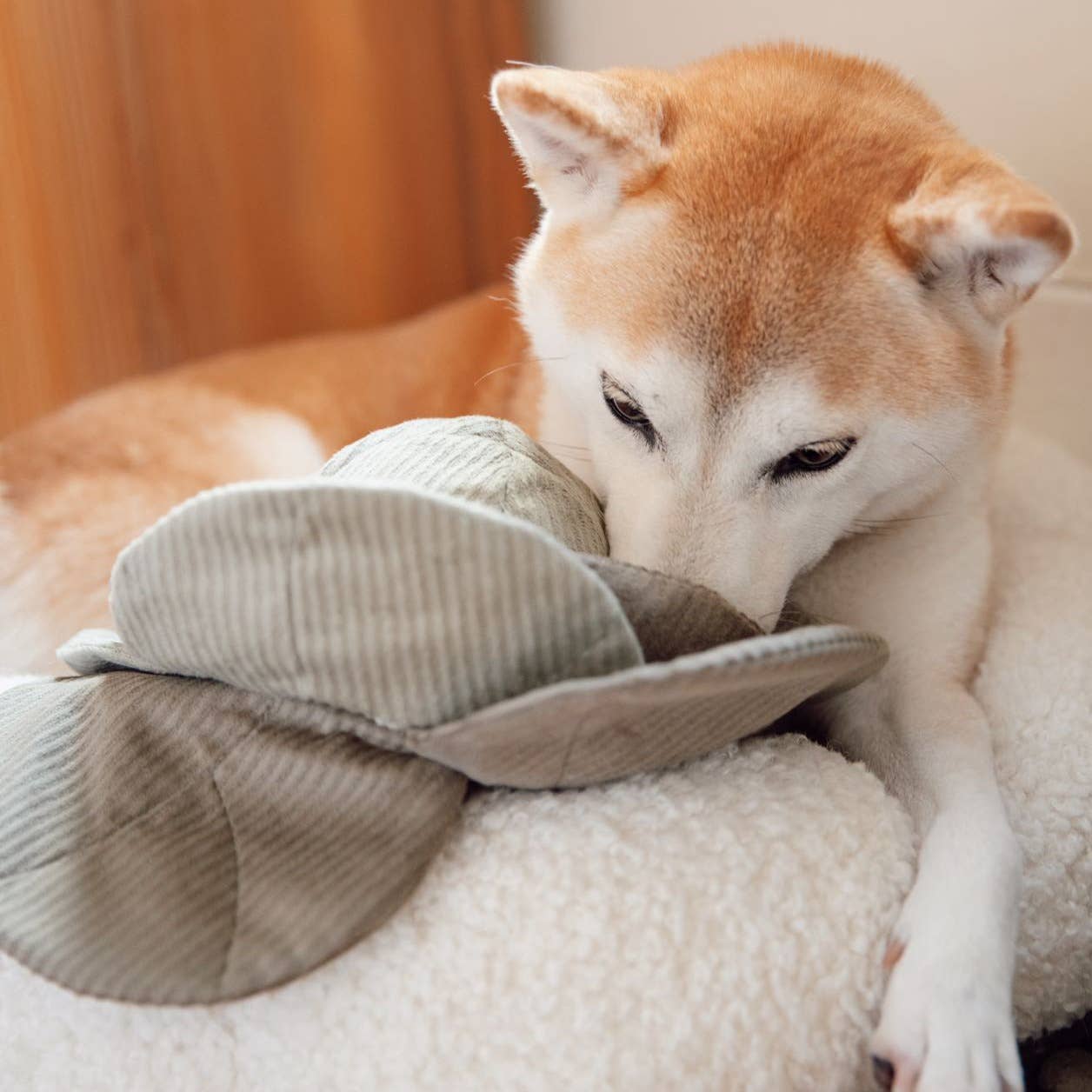 Lambwolf Collective - CABBAGE POP