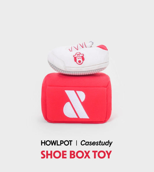 CASESTUDY SHOE BOX