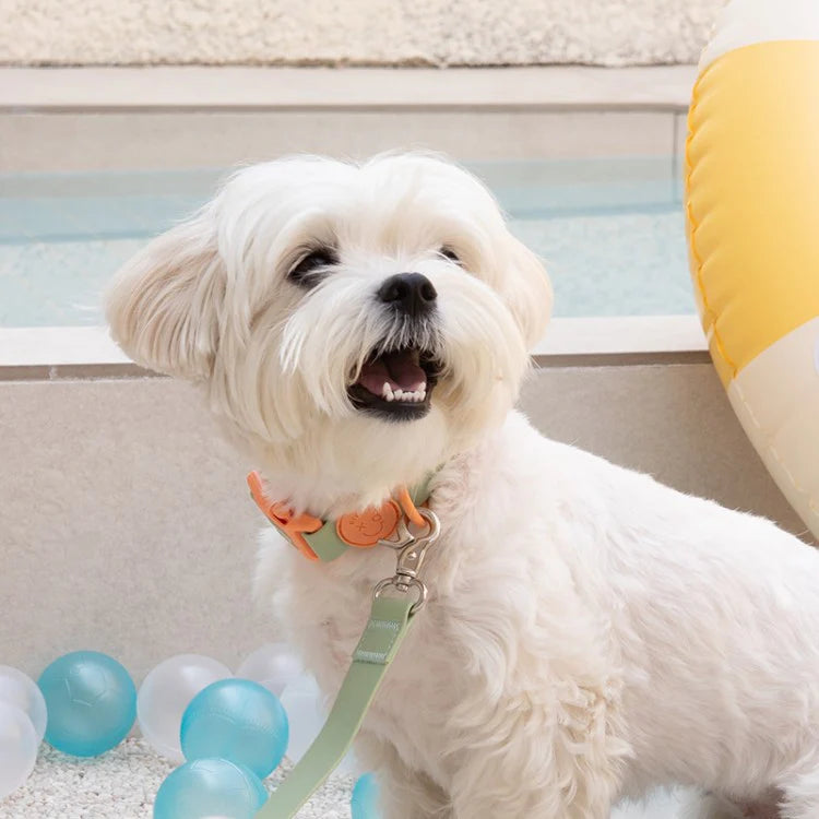 Bite Me - MACARON WATERPROOF LEASH
