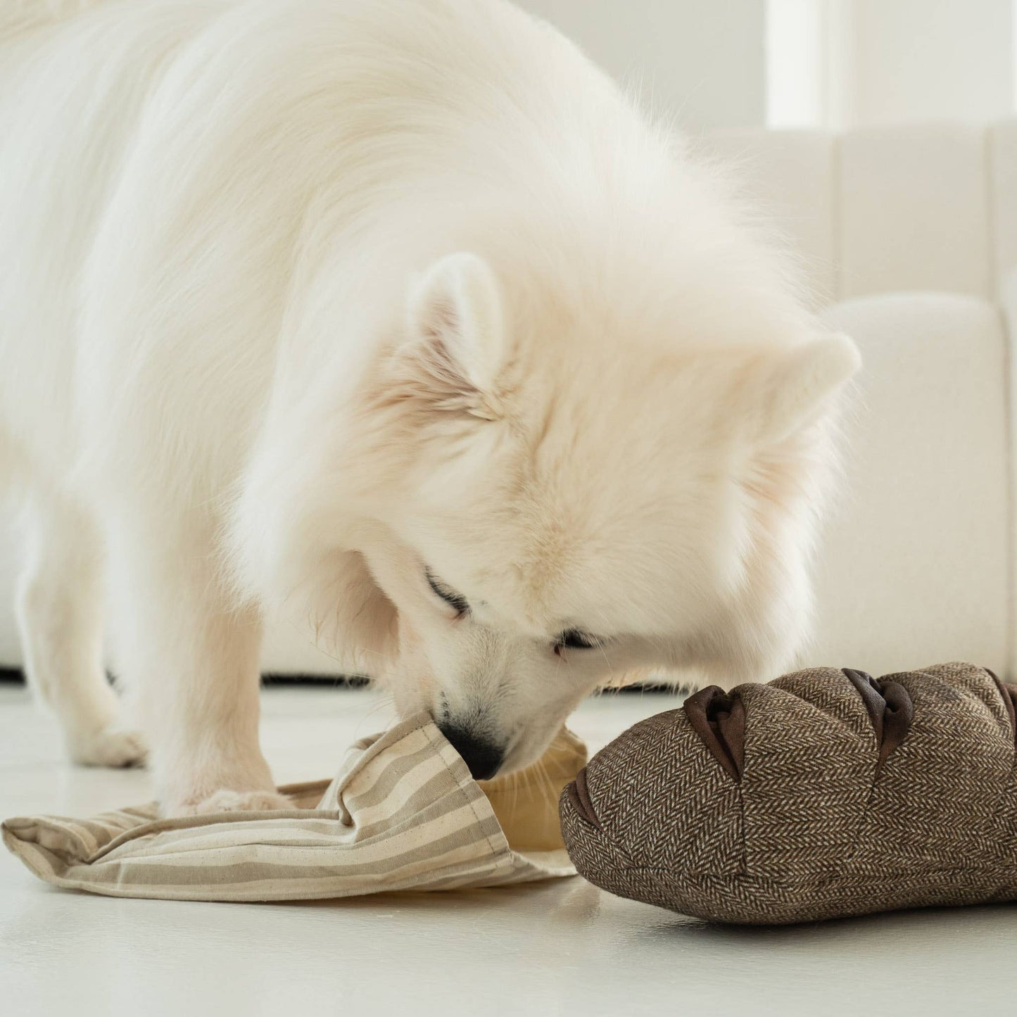 Lambwolf Collective - RYE