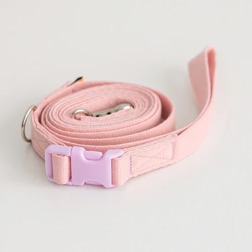 Bite Me - CANDY CRAYON LEASH