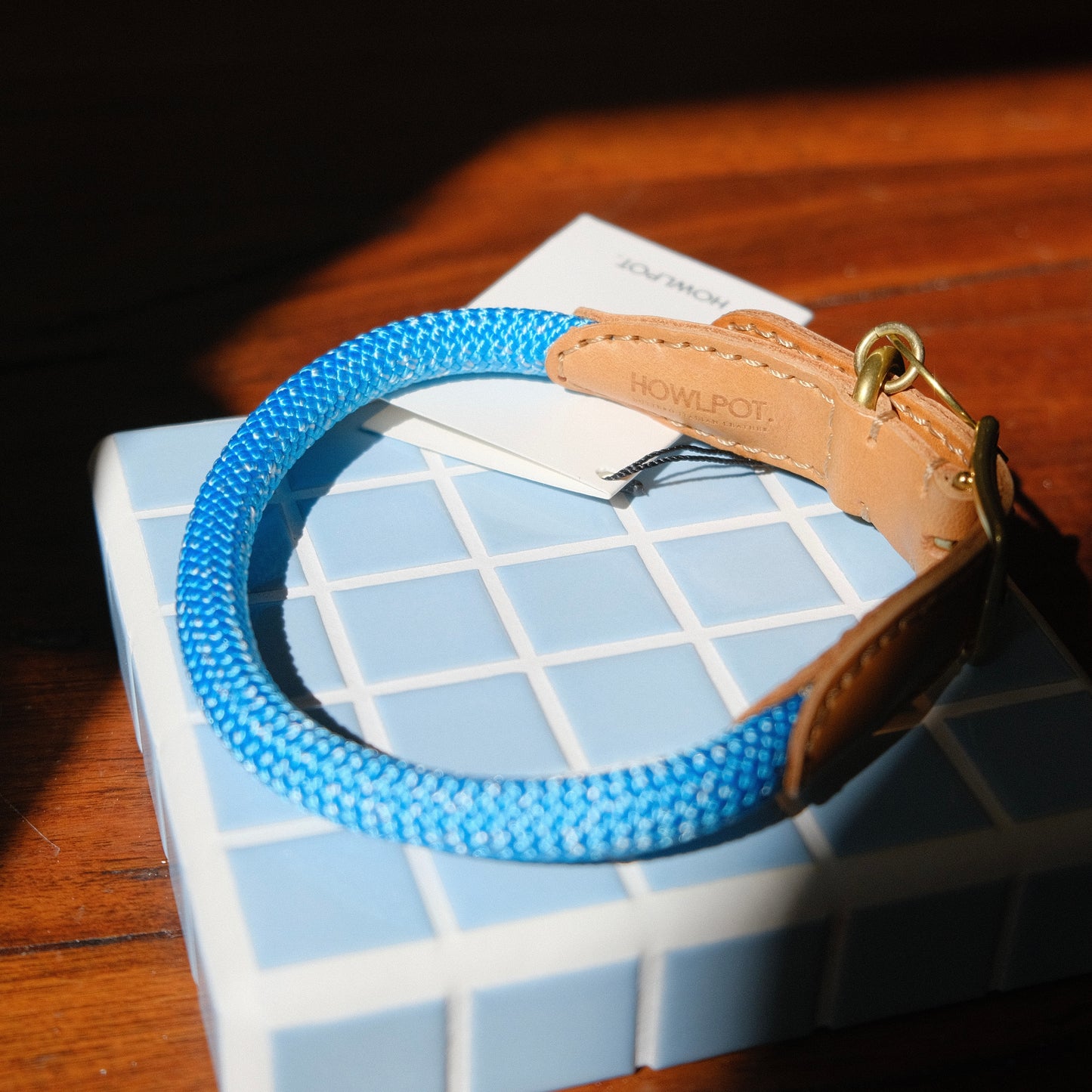 WE ARE TIGHT COLLAR | Bondi Blue