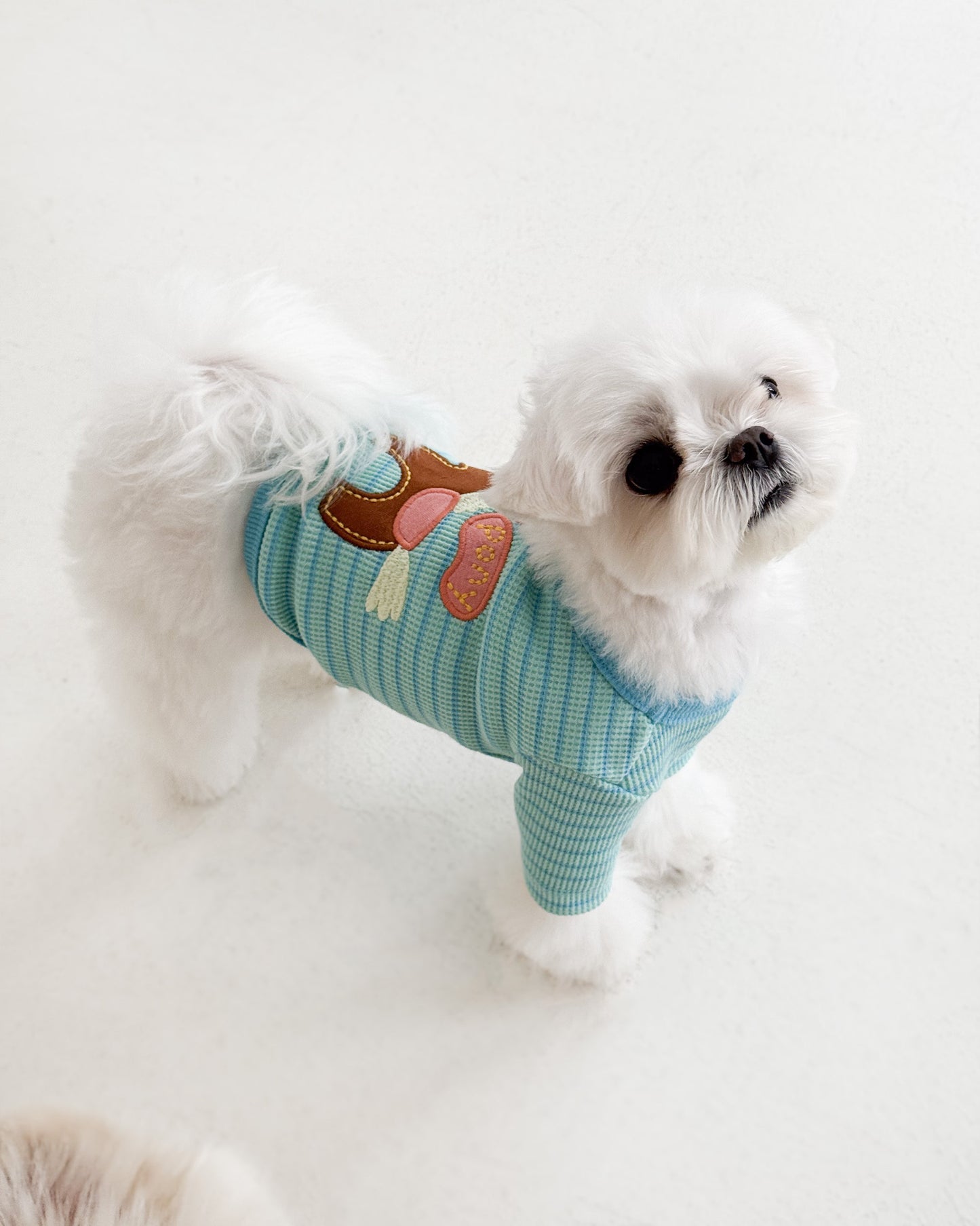 Côte à Côte - HAPPY PONY CARDIGAN | Sky Blue