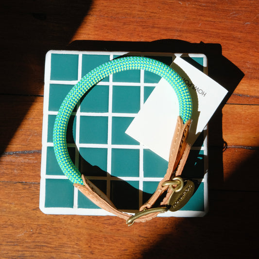 WE ARE TIGHT COLLAR | Reef Lime