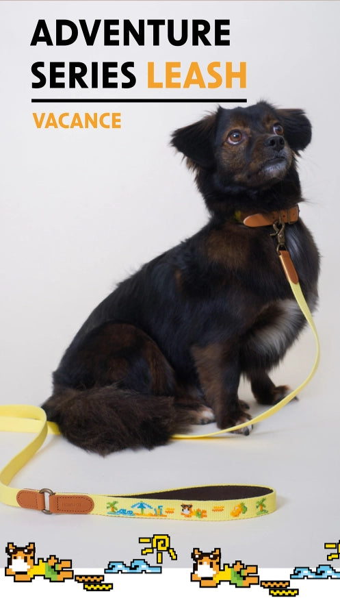 ADVENTURE LEASH | Vacance