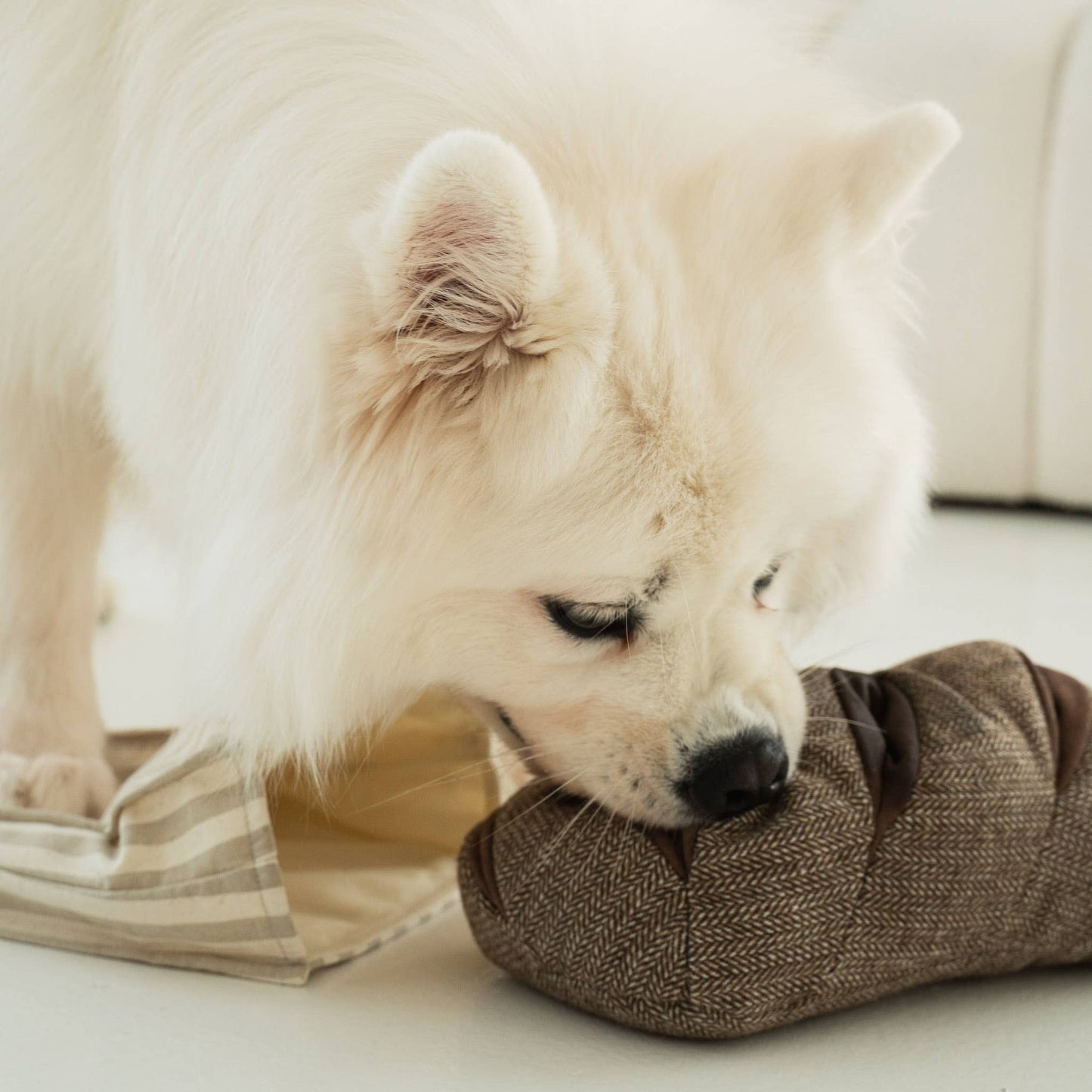 Lambwolf Collective - RYE