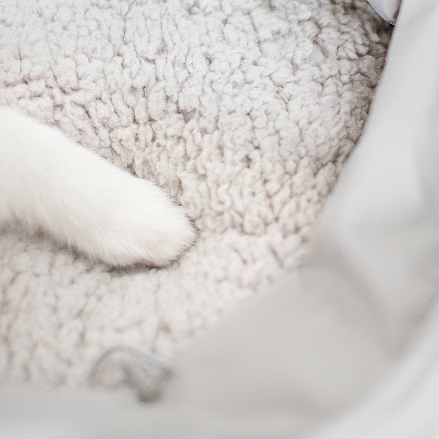 Lambwolf Collective - OLLA | Petite Pet Carrycot
