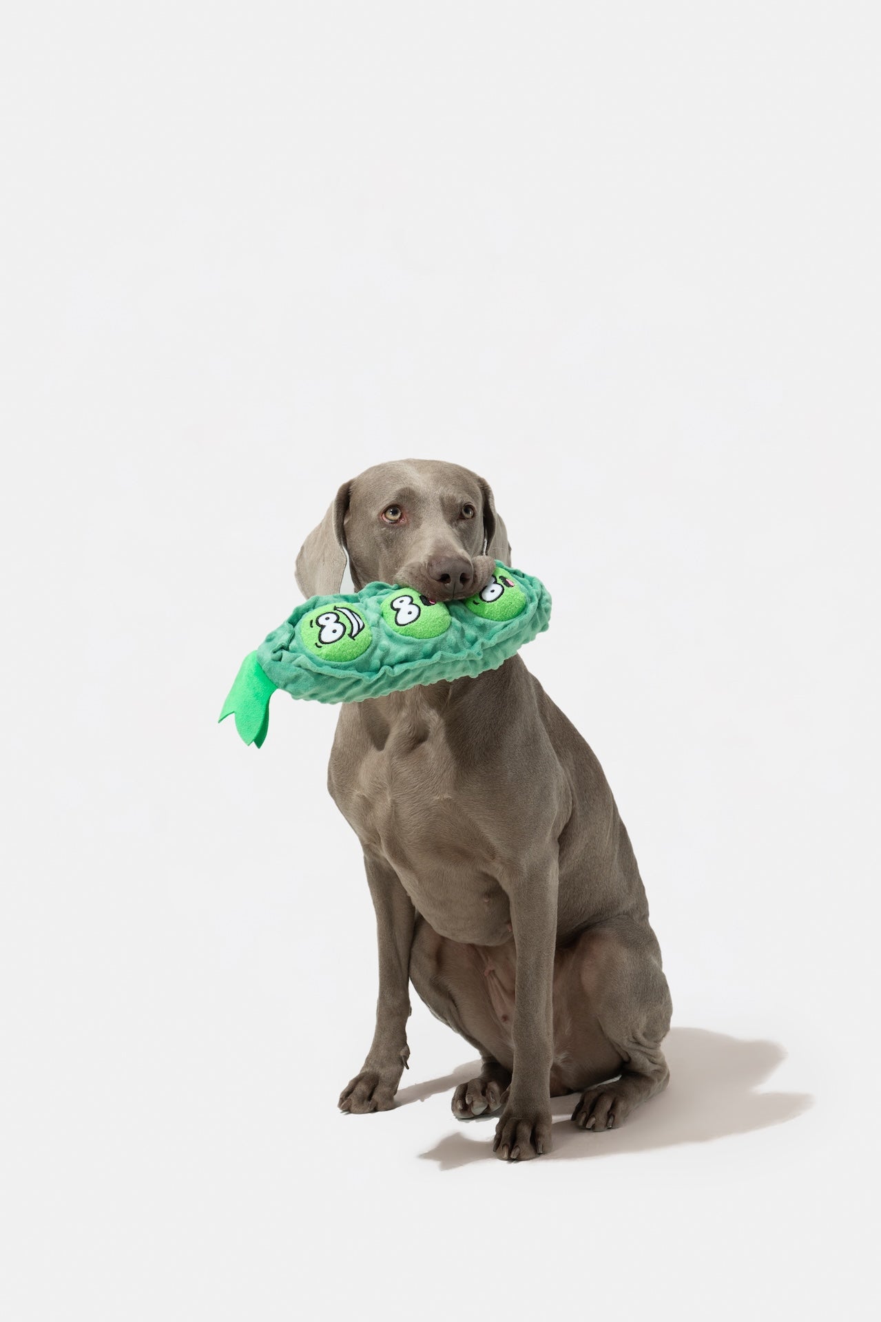 Pupsooh - THREE PEAS IN A POD