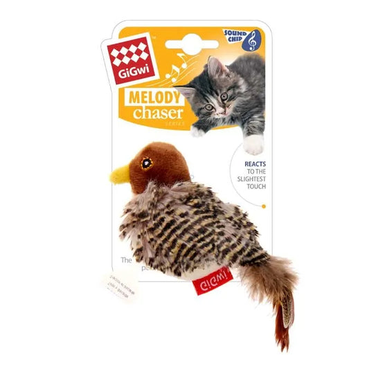 MELODY CHASER BIRD