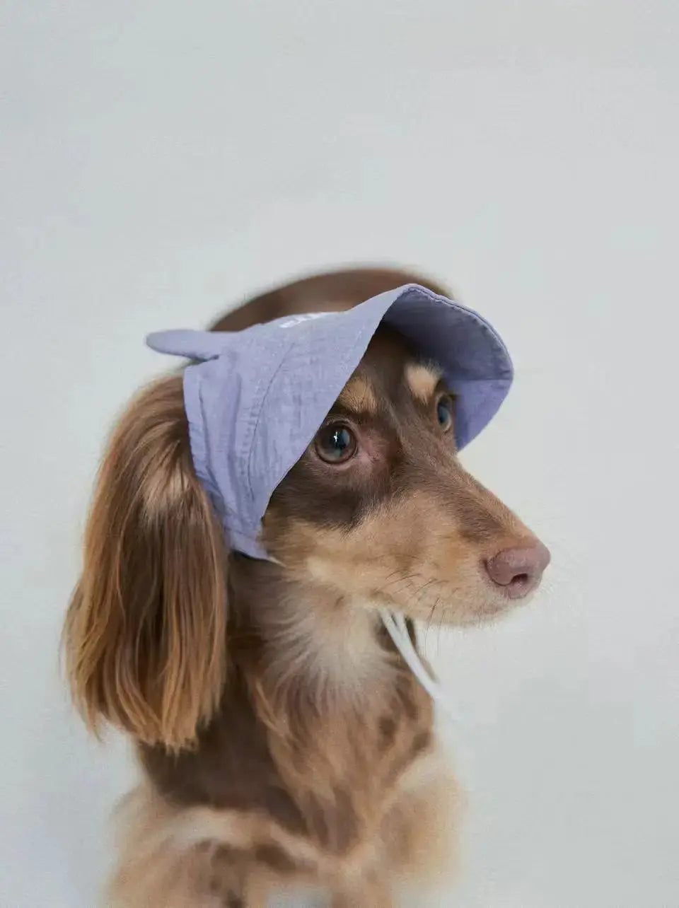 CUDS DOG COOLING HAT | Purple Bunny