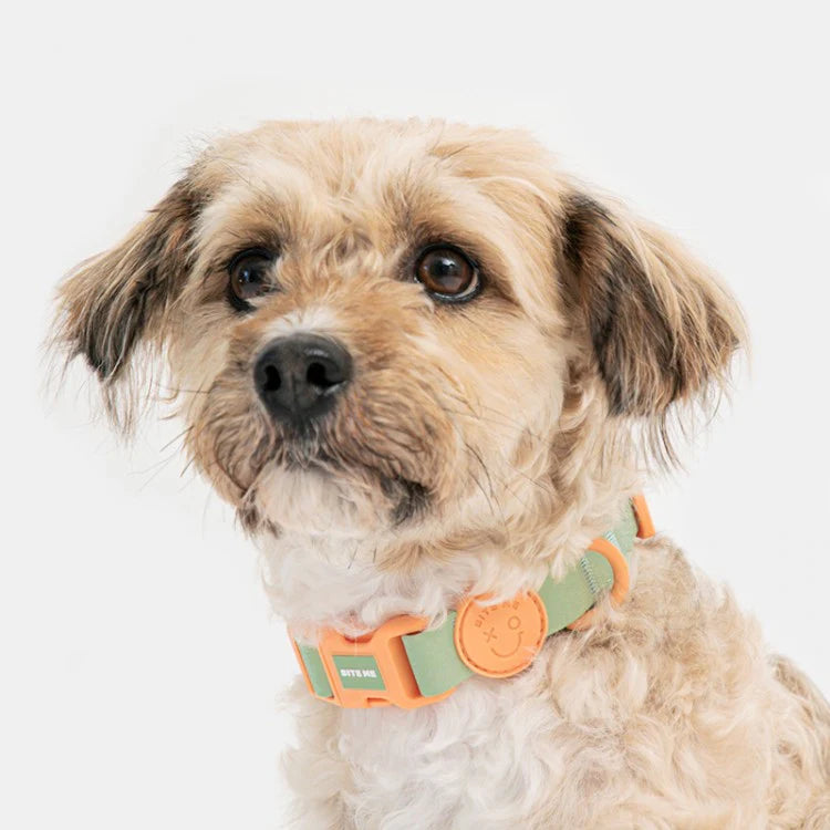 Bite Me - MACARON WATERPROOF COLLAR