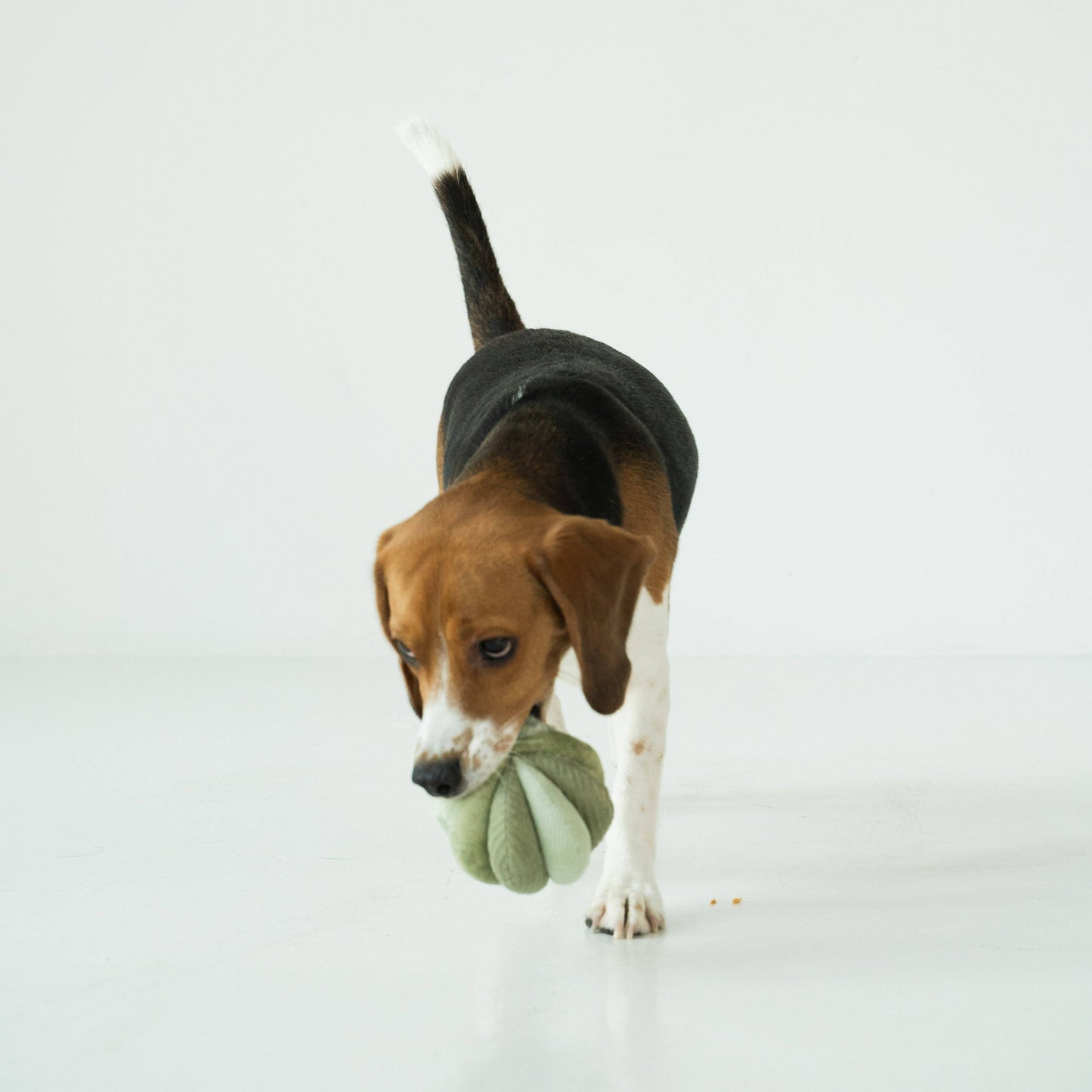 Lambwolf Collective - TOTO | Silent Snuffle Ball