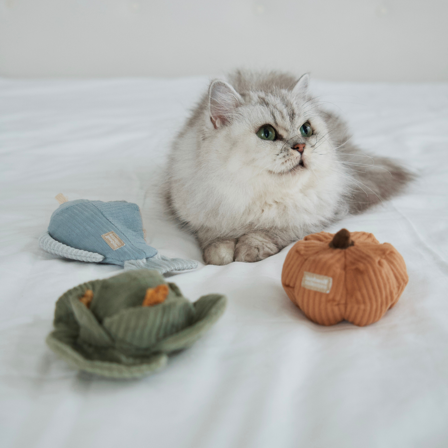 Lambwolf Collective - KITTY VEGGIE SET