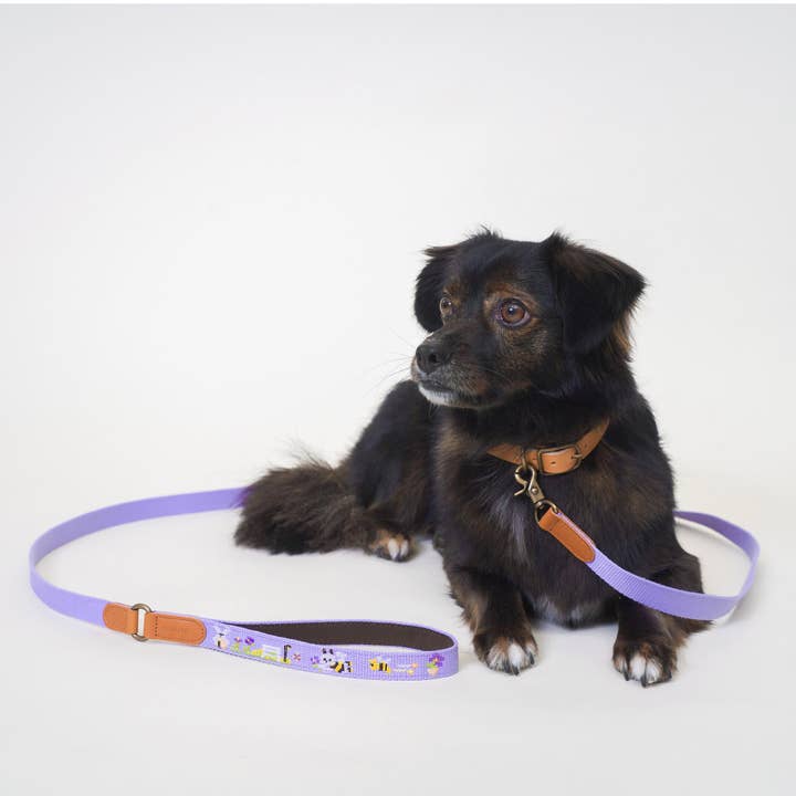 ADVENTURE LEASH | Lilac
