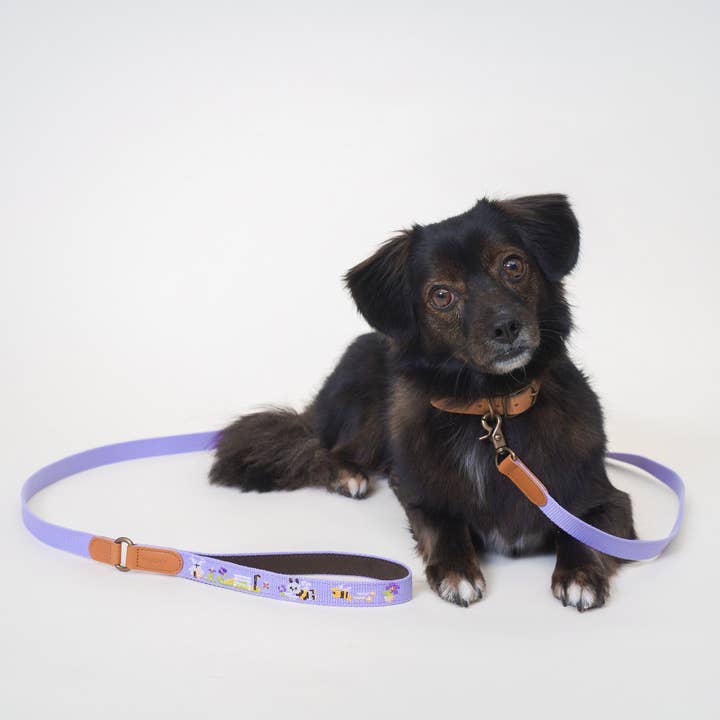 ADVENTURE LEASH | Lilac