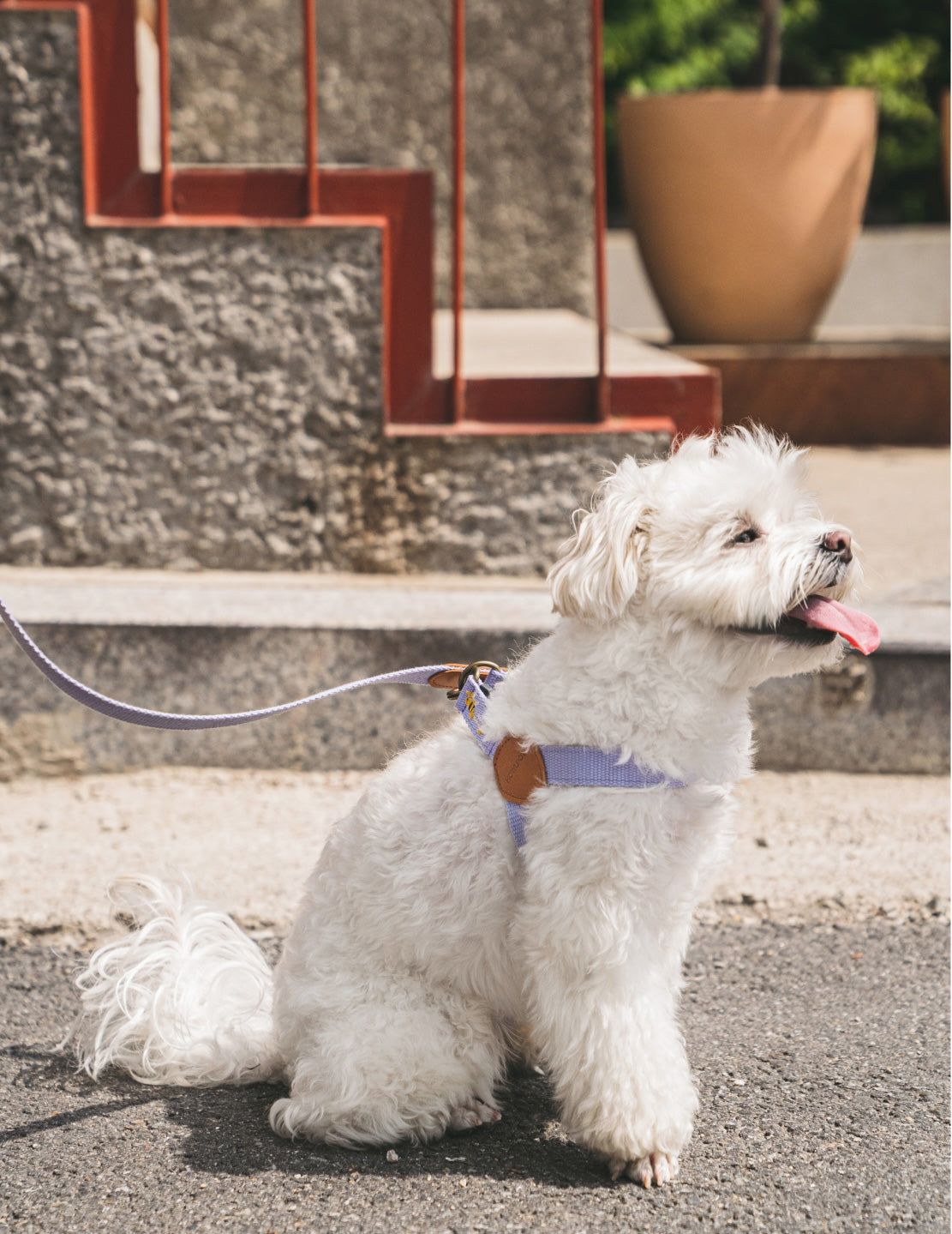 ADVENTURE HARNESS | Lilac