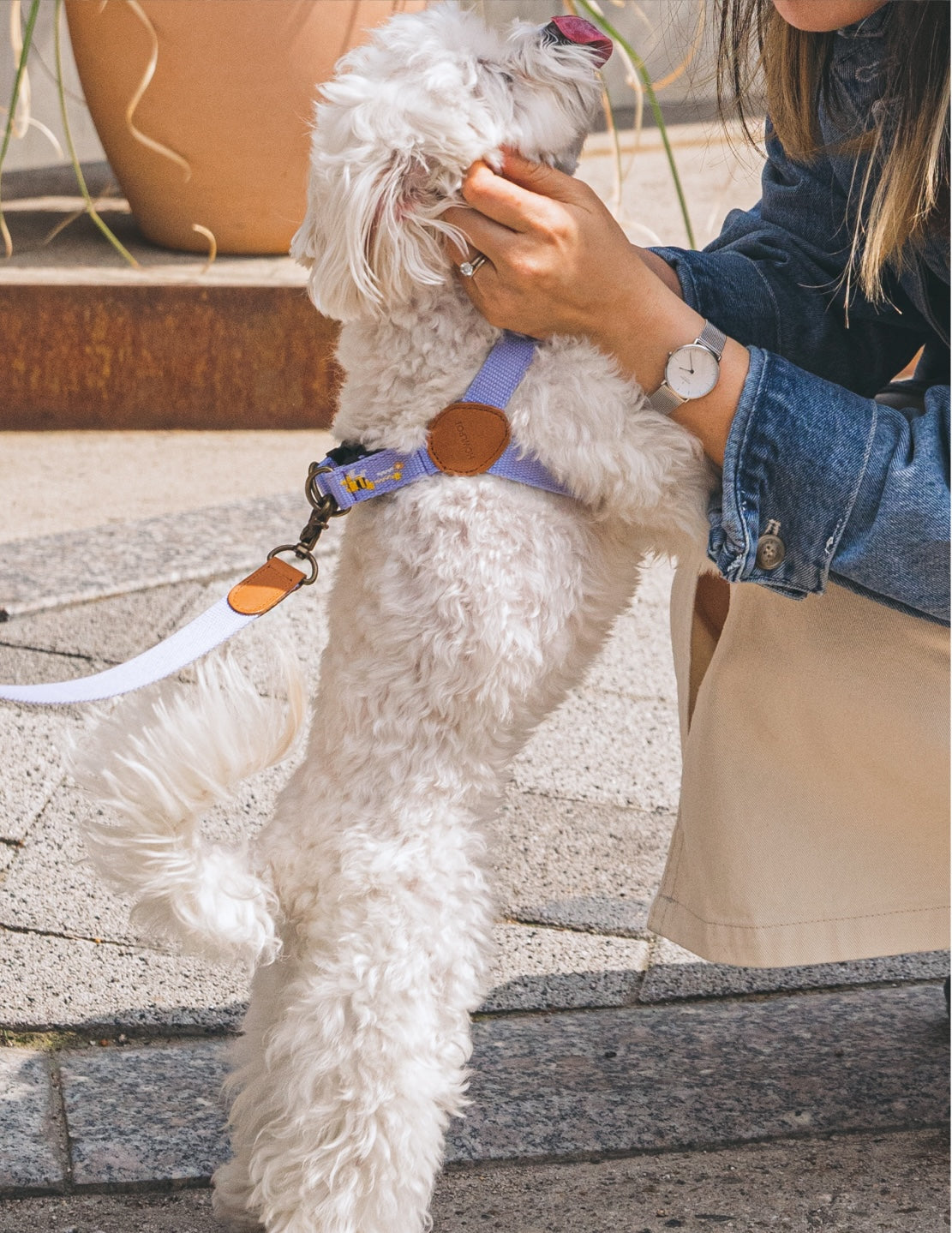 ADVENTURE HARNESS | Lilac